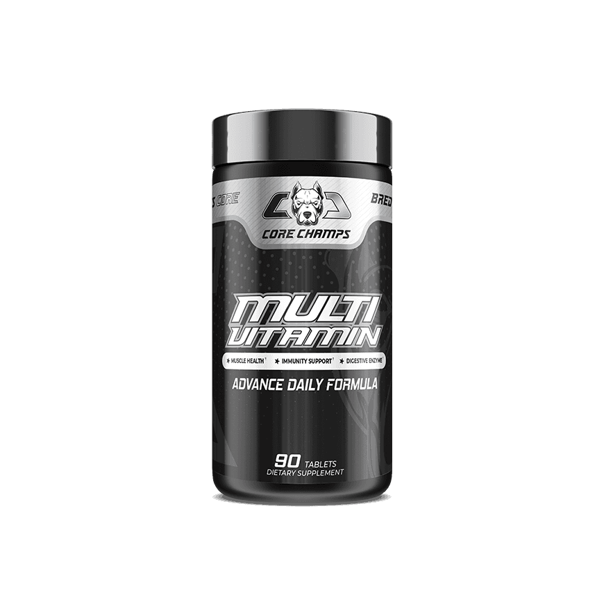 Multivitamin 90 Tablets (USA Version)