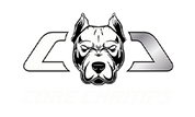 CORE CHAMPS LLC